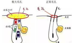 净空老法师2024开示 净空老法师胎教