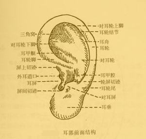 大安法师开示回向 大安法师轮回口袋