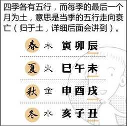 八字日柱壬水 八字排盘日柱壬