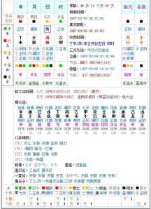 zydxtop八字排盘的简单介绍