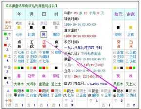 今年是什么年庚子年吗什么命 庚子年什么命八字排盘