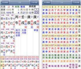 四柱八字排盘解析APP 六壬八字排盘解析