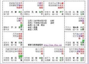 紫微数八字排盘解读 紫微八字排盘解读app