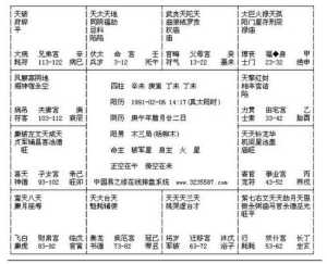 台湾紫微斗数免费命盘 紫薇八字排盘台湾