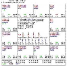 八字排盘视频讲座 八字命盘排盘解释视频大全