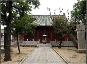 阳谷县佛教 阳谷禅寺在哪