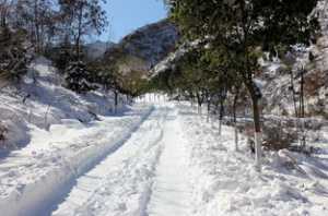 终南山雪光法师 终南山雪景