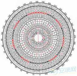 陈大会佛教 陈大会视频