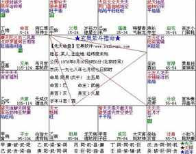 紫薇命盘 八字 腾讯紫薇科技八字排盘