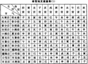 八字排盘命宫位置详解 八字排盘命宫位置