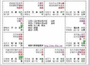 紫微排盘准还是八字准 紫微排盘和八字