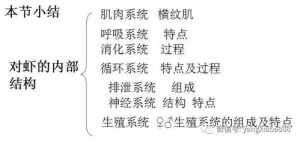 佛教解释养虾 佛教解释养虾是什么