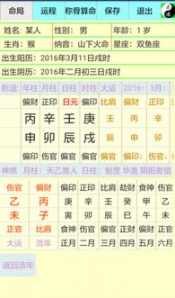 八字排 盘 八字排盘终身详批