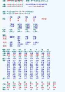 易奇八字排盘解释大全最新 易奇八字排盘解释大全最新版本