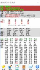 盲派八字排盘软件下载 盲派八字排盘破解