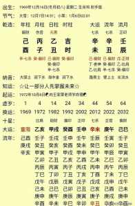 八字排盘己亥乙亥丙辰甲午 己亥乙亥丙辰丁酉命理推算