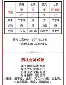 八字排盘教学视频全集 八字排盘基础入门教程