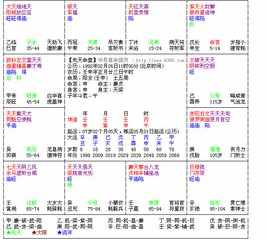 紫微和八字哪个好 紫微排盘和八字排盘不一样