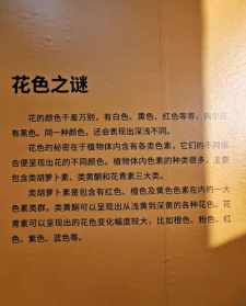 重元寺传政法师 重元寺求什么