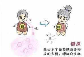 妙莲法师佛学讲座视频 妙莲法师是什么佛