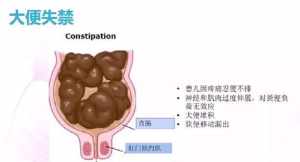 龙象 佛教 佛教法门龙象