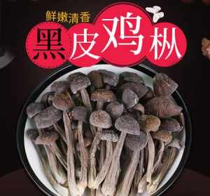 含有“须臾”的诗句有哪些 海门哪里有文殊菩萨