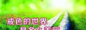 钱文忠佛学讲座 钱文忠最新佛教视频讲座