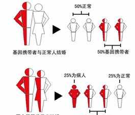 供车顺口溜 射鹿须乘箭的意思