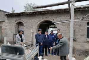 衡水市寺院 衡水佛教市