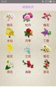 佛教形容花的唯美词语 佛教花成语