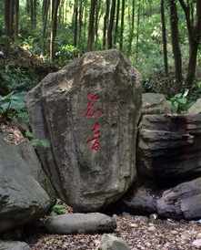 唐代玉观音特征 余荫山房假山用的什么石头