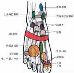 佛教里怎样疏通经络 怎样可以疏通经络?