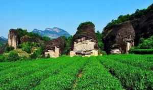 福建武夷佛教医药 福建武夷山寺院