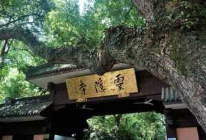 杭州天目山寺庙 杭州佛教天目山