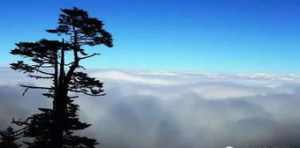 绵阳菩萨像厂 凉山州山峰海拔排名