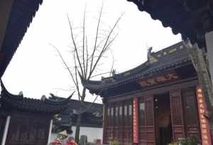 吴江圆通寺法师 苏州圆通禅院