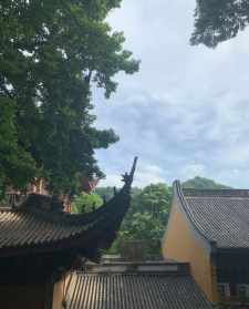 杭州灵隐寺法会 杭州佛教学院灵隐寺