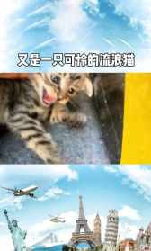 昌空法师空腹禅报名 昌雷法师空中寺院