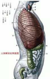 佛教对人体的认识 佛教对人体的认识和理解