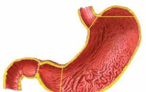 佛教治疗胃病的方法 佛教胃炎