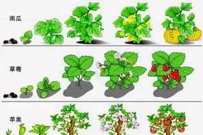 佛学 植物 佛教如何解释植物结种子