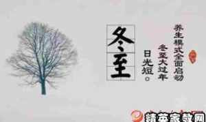 清代雪舟法师作品图片 清代雪舟法师作品