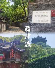 山东省庆云县金山寺师父电话 庆云金山寺开源法师