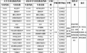 2024年佛教职人员备案 佛教教职人员开宾馆