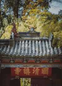 国清寺传喜法师是谁 国清寺传喜法师