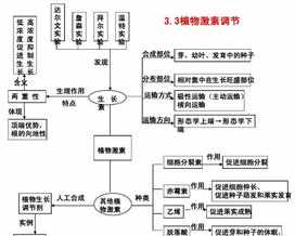 佛教与环保法义总结 佛教的环保思想思维导图