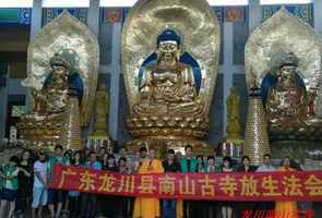 广福寺达如法师 碣石广福寺释达如法师