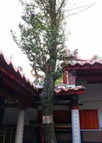 龙居禅寺 龙居寺道见法师