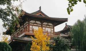 盐城的寺 盐城城东佛教