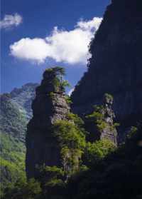 金佛山佛教遗迹 金佛山景区介绍